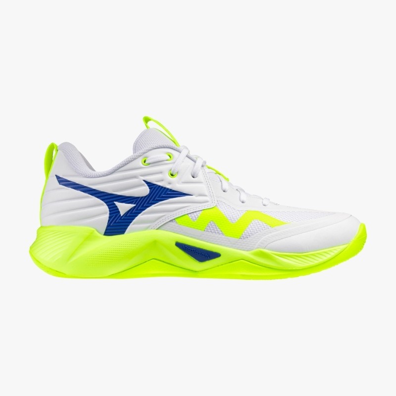 CALZADO MIZUNO WAVE MOMENTUM PRO